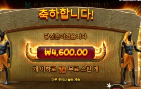 책이 뭔 의미냐