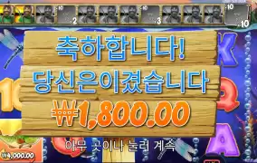 금액으로 욕하기 있기 없기