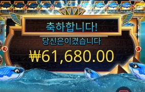 생선 눈이 맑으네