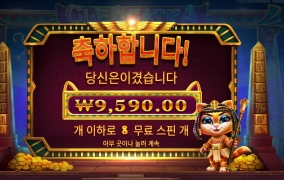 와일드 8개다냥