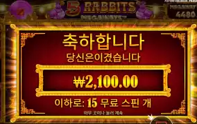 저녁은 토끼탕입니다