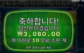 미션 피쉰 스핀 초이스