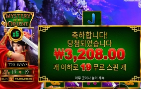 진심 미스테리하당