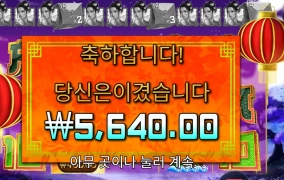 드래곤 언니 어딨어