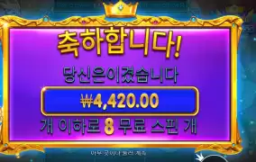 파치야 이러기야