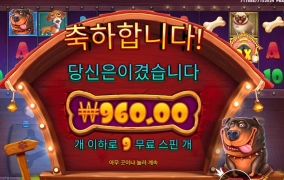 강아지가 싫어졌어요