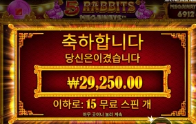 유일하게 좋아하는 토끼