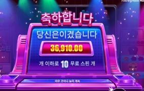 와일드 ６개 라이프 리워드