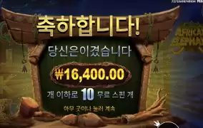 코끼리때 어디갔니