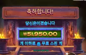 나일포춘 ２６０배