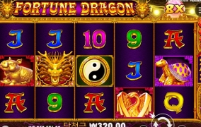 포춘 드래곤 바닥