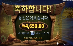 아프리카 코끼리는 다른가 했다