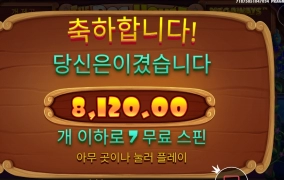 개집 스티키 후기