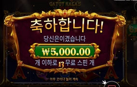 가토 카카즈 에