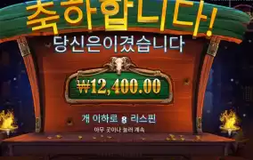 기본스핀이라지만 카우보이