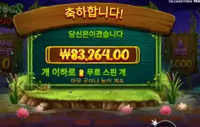 프로그즈 앤 버그스 416배