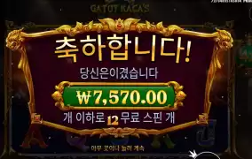 카토야 나머지는 어딨니