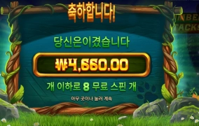 팀버 스텍 안붙네