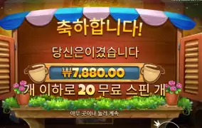 ２０스핀 커피 와일드