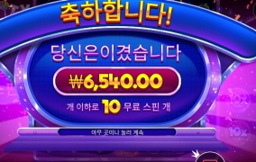 후르트 트릿스 １０스핀