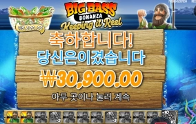 빅 배스 보난자 3콩