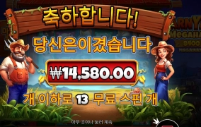 반야드 추가 3스핀