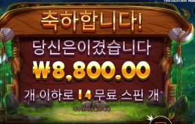 릴리즈 더 바이슨 기본스핀