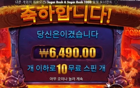 바이킹이라 하지마