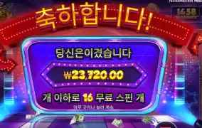 머니맨 추가스핀 땡큐