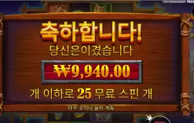 버팔로 킹  ２５스핀