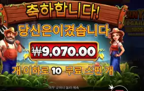 반야드 １０스핀