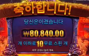 바이킹 포지 404배