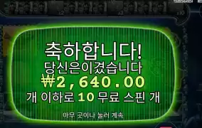 빅배스 미션 기본스핀