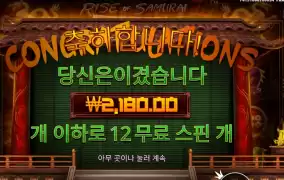 사무라이가 미워요