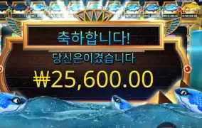 물고기들 고생했다