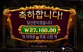 카토 카카 퓨리 3스캐터