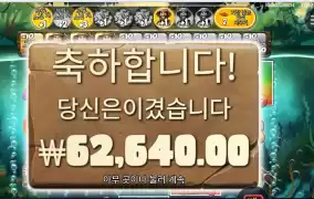 아마존익스트림 ３１３배