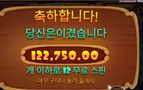 개집 １１１３배