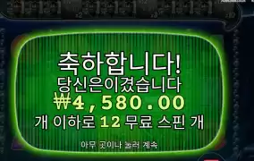 스핀 2개 추가인디