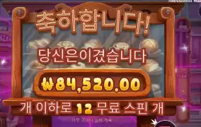 와일디즈 ４２３배