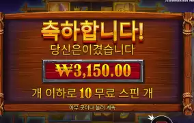 버팔로 ３천원 실화냐