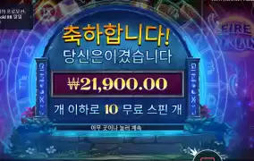 파포 10스핀