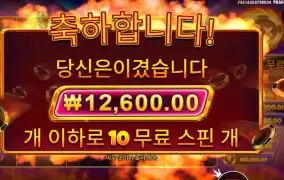 캐시칩스 10스핀