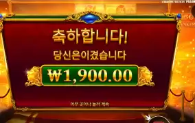 오늘 아침은 돼지다