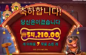 멀티개집 ２７１배