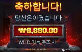 포징 와일드 랜덤 심벌