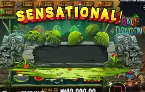 발리 드래곤 바닥 센세