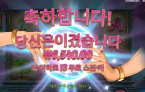 제 행운과 운은 어디에