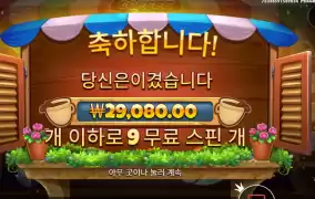 커피와일드 9스핀