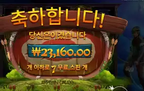 불화살 ２３천원